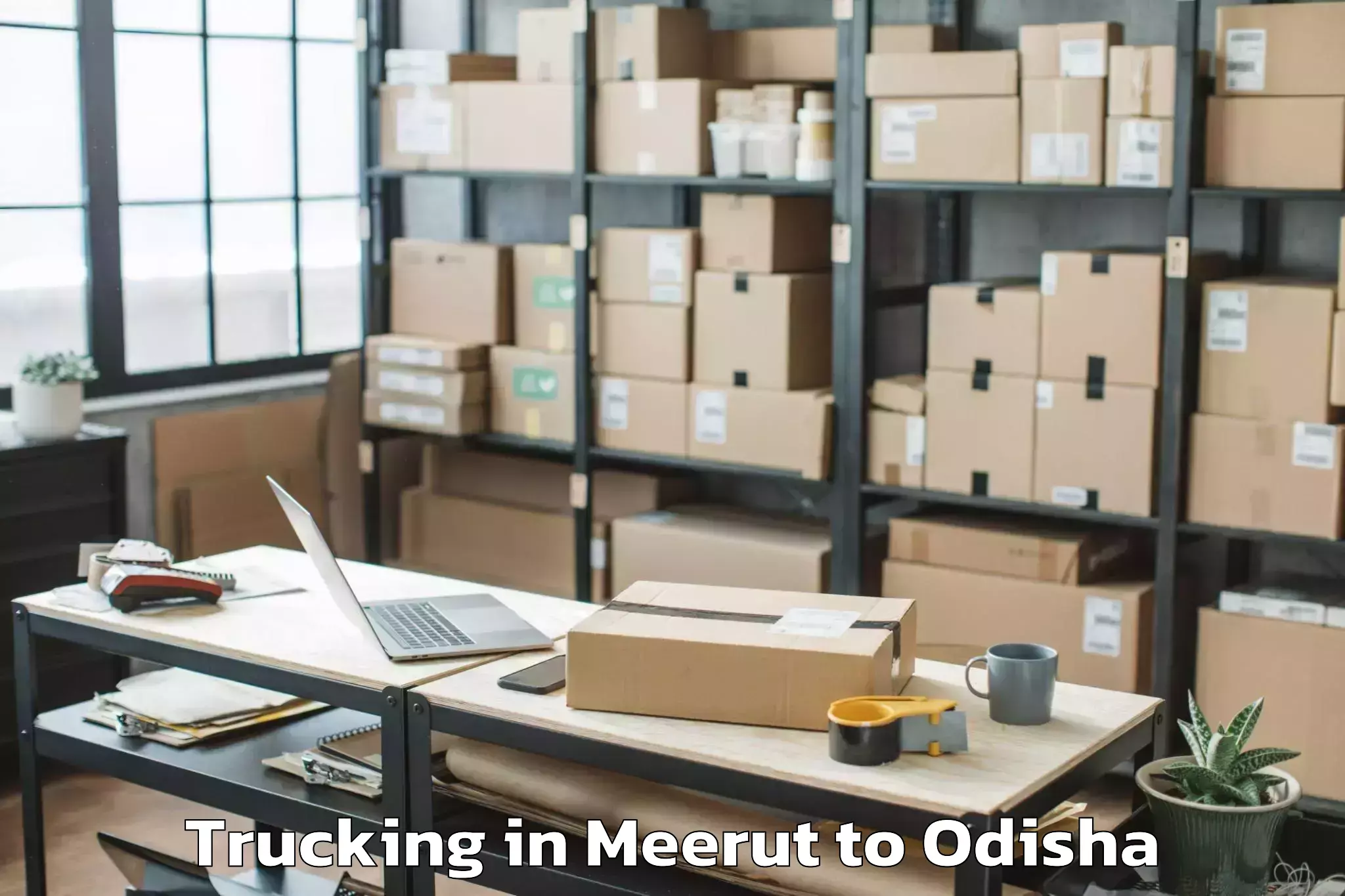 Leading Meerut to Mancheswar Trucking Provider